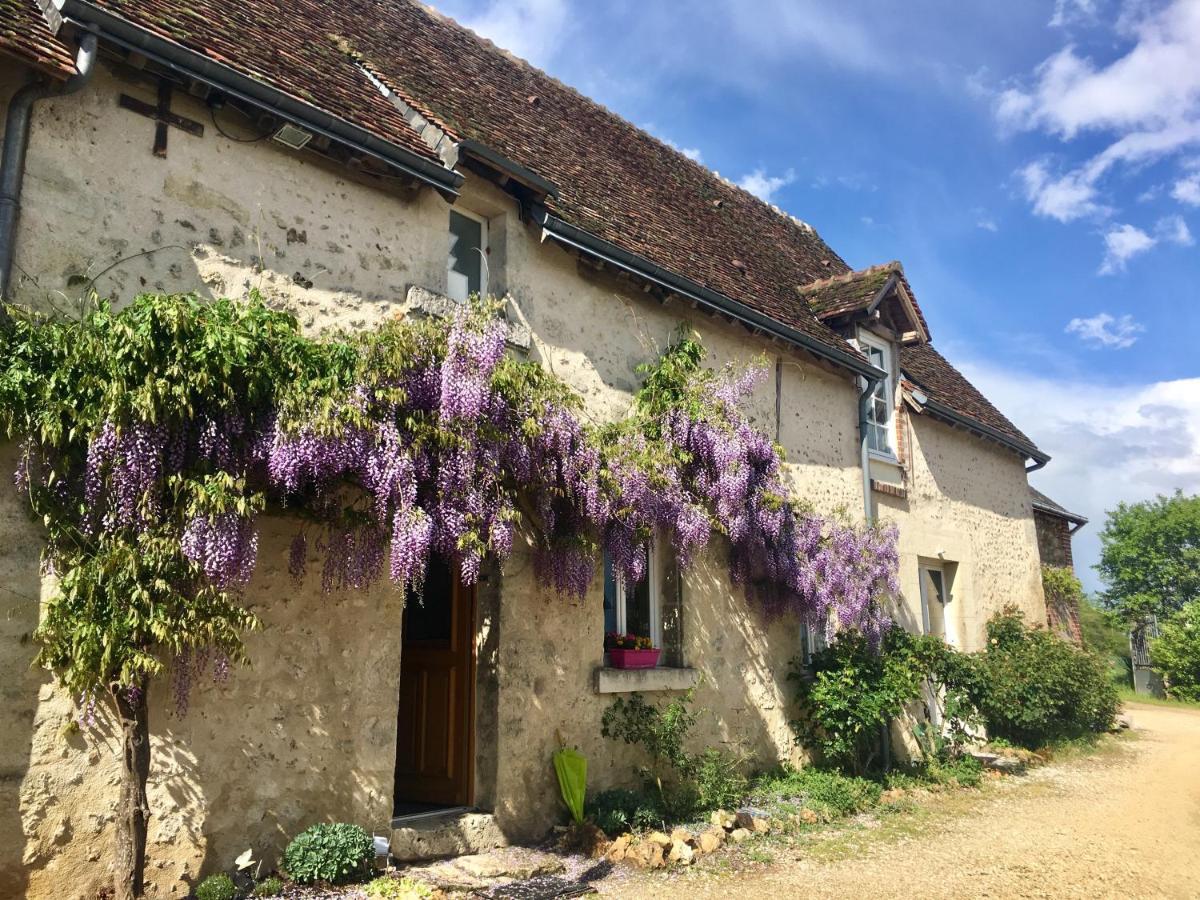Le Grand Coudreau Bed & Breakfast Nazelles-Negron Bagian luar foto